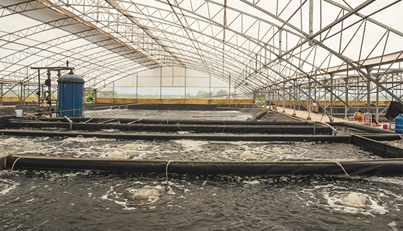 Cách Thi Công Màng Chống Thấm HDPE