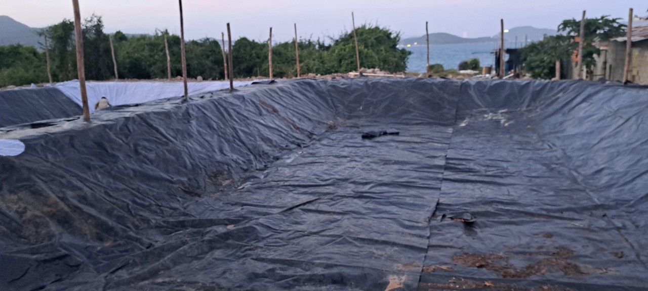 Màng Chống Thấm HDPE Nhập Khẩu