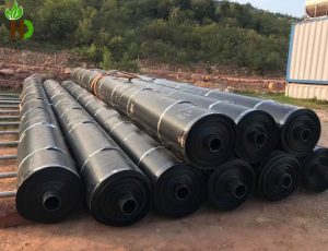 Màng chống thấm HDPE giá tốt