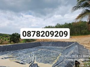 Màng chống thấm HDPE cho hồ bơi