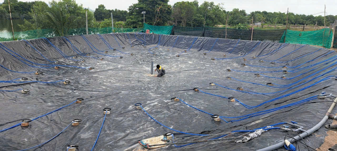Màng chống thấm HDPE dày