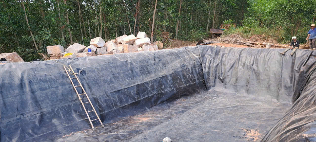 Màng Chống Thấm HDPE Cho Tầng Hầm