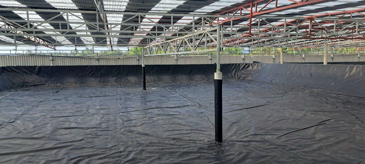 Màng chống thấm HDPE giá rẻ