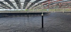 Màng Chống Thấm HDPE Cho Công Trình Nhà Ở