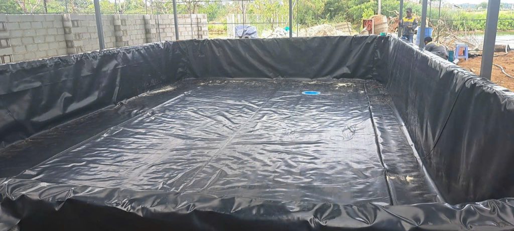 Màng Chống Thấm HDPE Chính Hãng