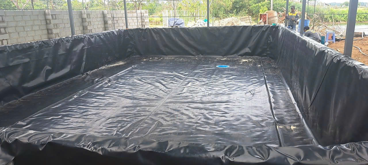Màng HDPE Chống Thấm Nước